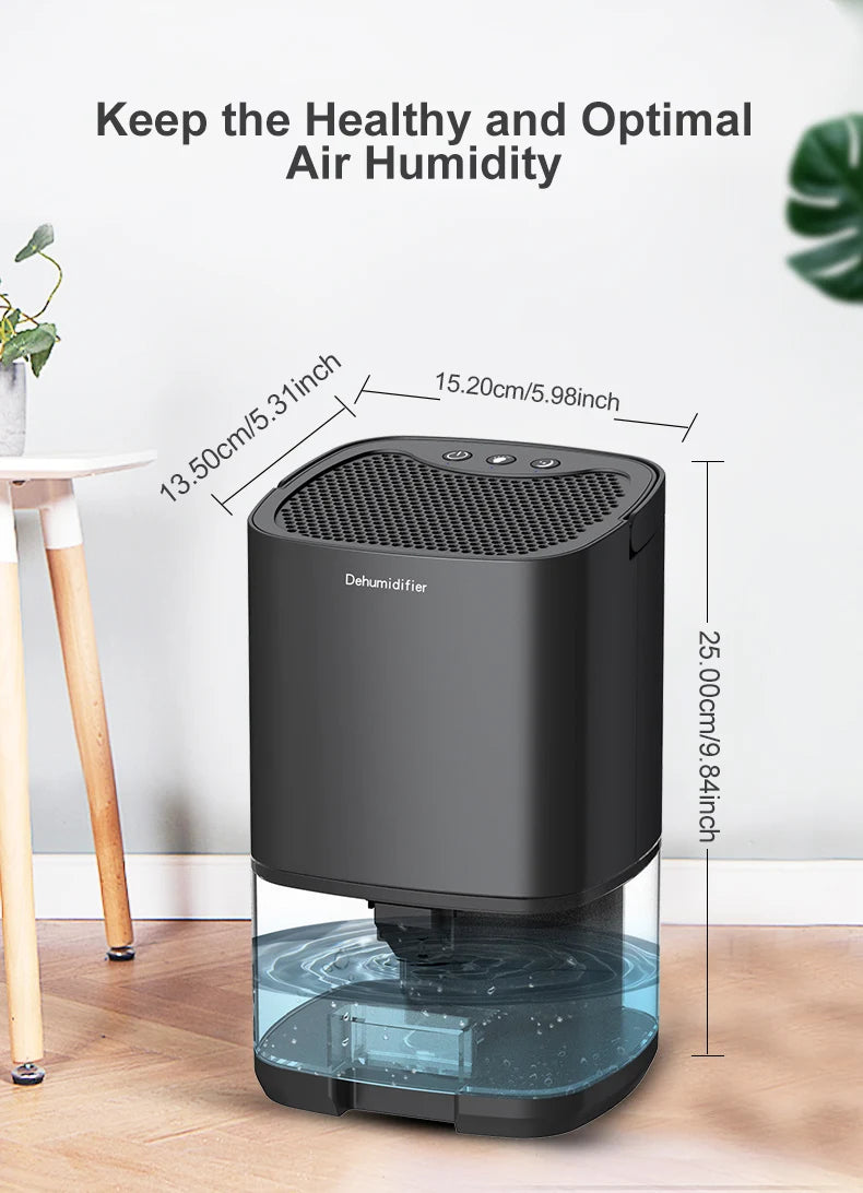 Portable Air Dehumidifier – Remove Damp Mould & Moisture for Home Office & RV (220V/110V)