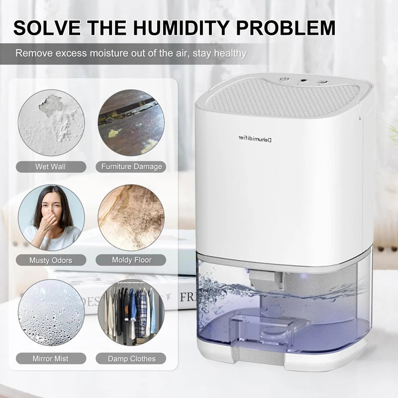 Portable Air Dehumidifier – Remove Damp Mould & Moisture for Home Office & RV (220V/110V)